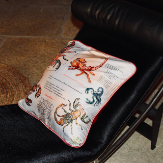 Coussin Dessiné à la Main – Motif Scorpion